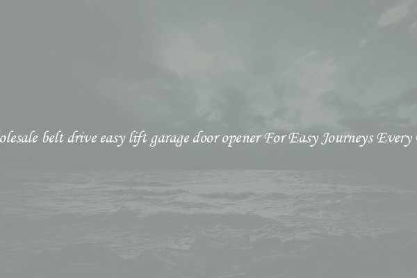 Wholesale belt drive easy lift garage door opener For Easy Journeys Every Day