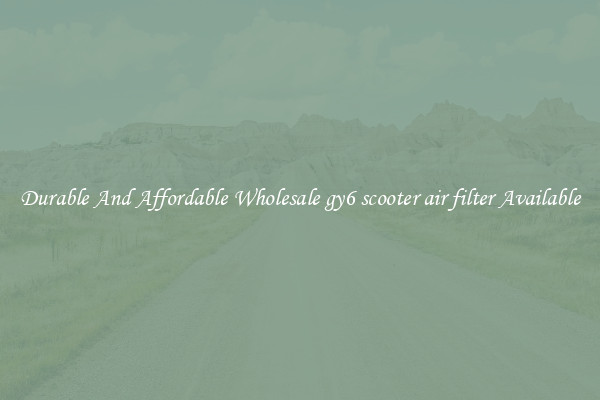 Durable And Affordable Wholesale gy6 scooter air filter Available