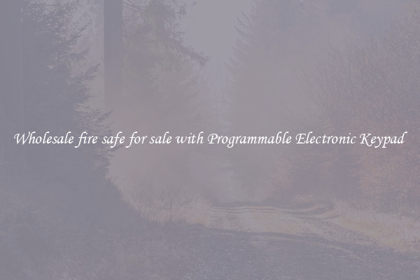 Wholesale fire safe for sale with Programmable Electronic Keypad 