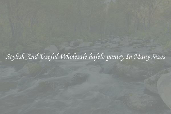 Stylish And Useful Wholesale hafele pantry In Many Sizes