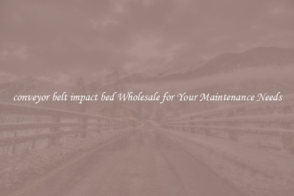 conveyor belt impact bed Wholesale for Your Maintenance Needs