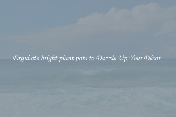 Exquisite bright plant pots to Dazzle Up Your Décor  