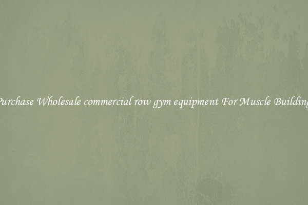 Purchase Wholesale commercial row gym equipment For Muscle Building.
