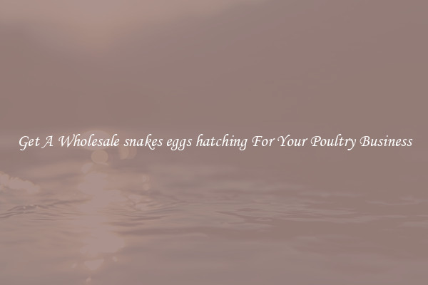 Get A Wholesale snakes eggs hatching For Your Poultry Business