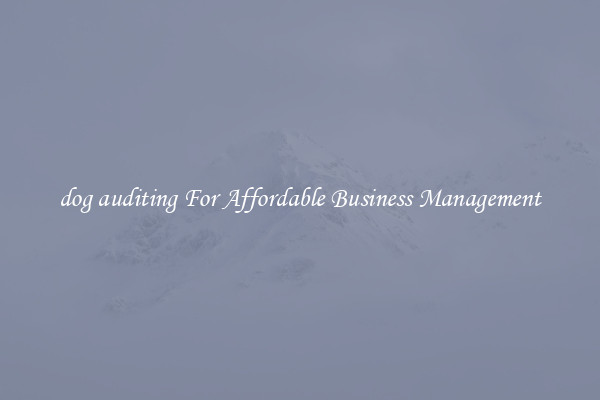 dog auditing For Affordable Business Management