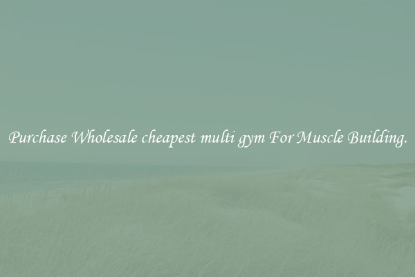 Purchase Wholesale cheapest multi gym For Muscle Building.
