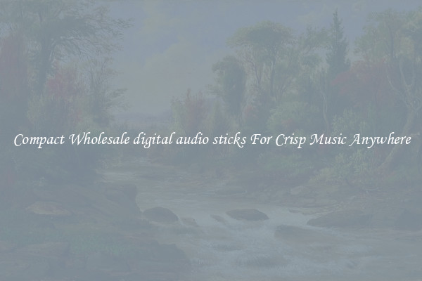 Compact Wholesale digital audio sticks For Crisp Music Anywhere
