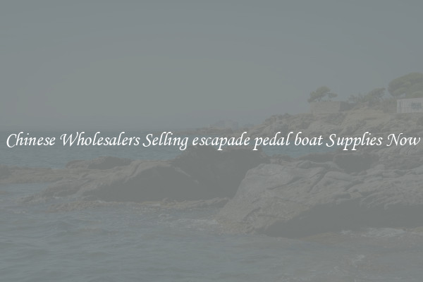 Chinese Wholesalers Selling escapade pedal boat Supplies Now