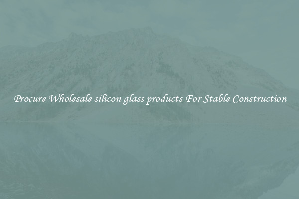 Procure Wholesale silicon glass products For Stable Construction