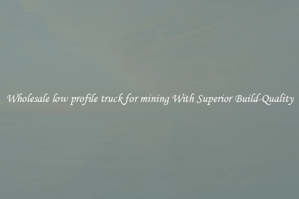 Wholesale low profile truck for mining With Superior Build-Quality