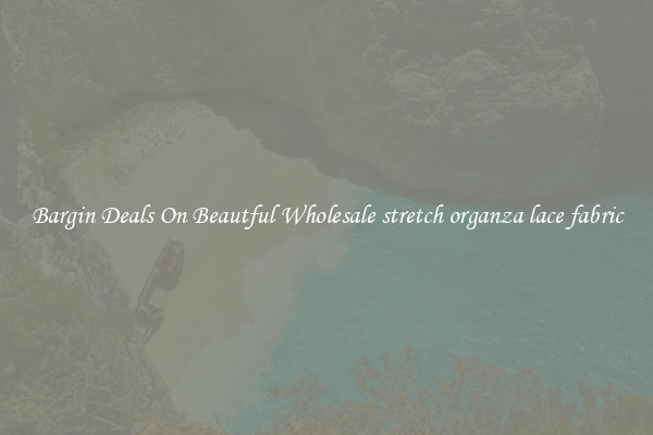 Bargin Deals On Beautful Wholesale stretch organza lace fabric