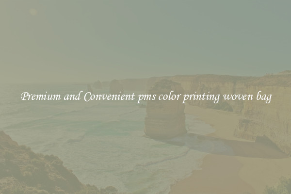 Premium and Convenient pms color printing woven bag
