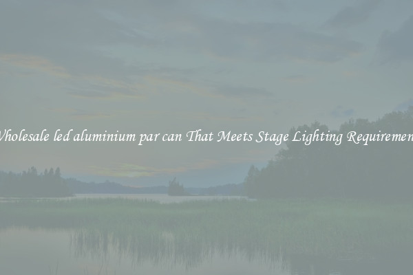 Wholesale led aluminium par can That Meets Stage Lighting Requirements