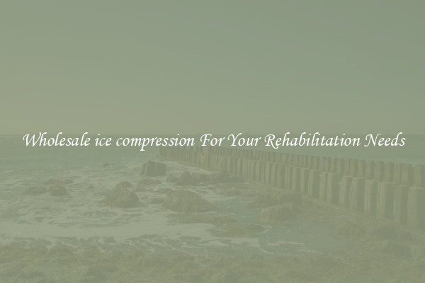 Wholesale ice compression For Your Rehabilitation Needs