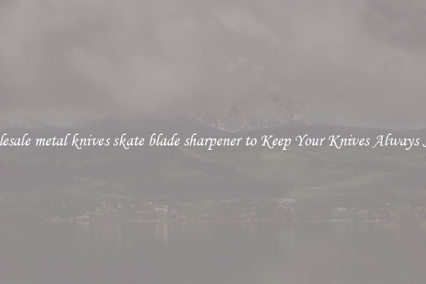 Wholesale metal knives skate blade sharpener to Keep Your Knives Always Sharp