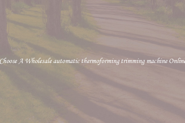 Choose A Wholesale automatic thermoforming trimming machine Online