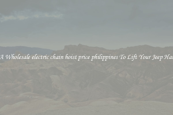 Get A Wholesale electric chain hoist price philippines To Lift Your Jeep Hardtop