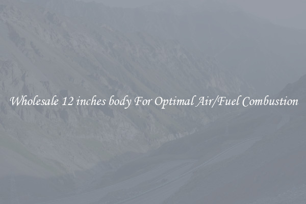 Wholesale 12 inches body For Optimal Air/Fuel Combustion